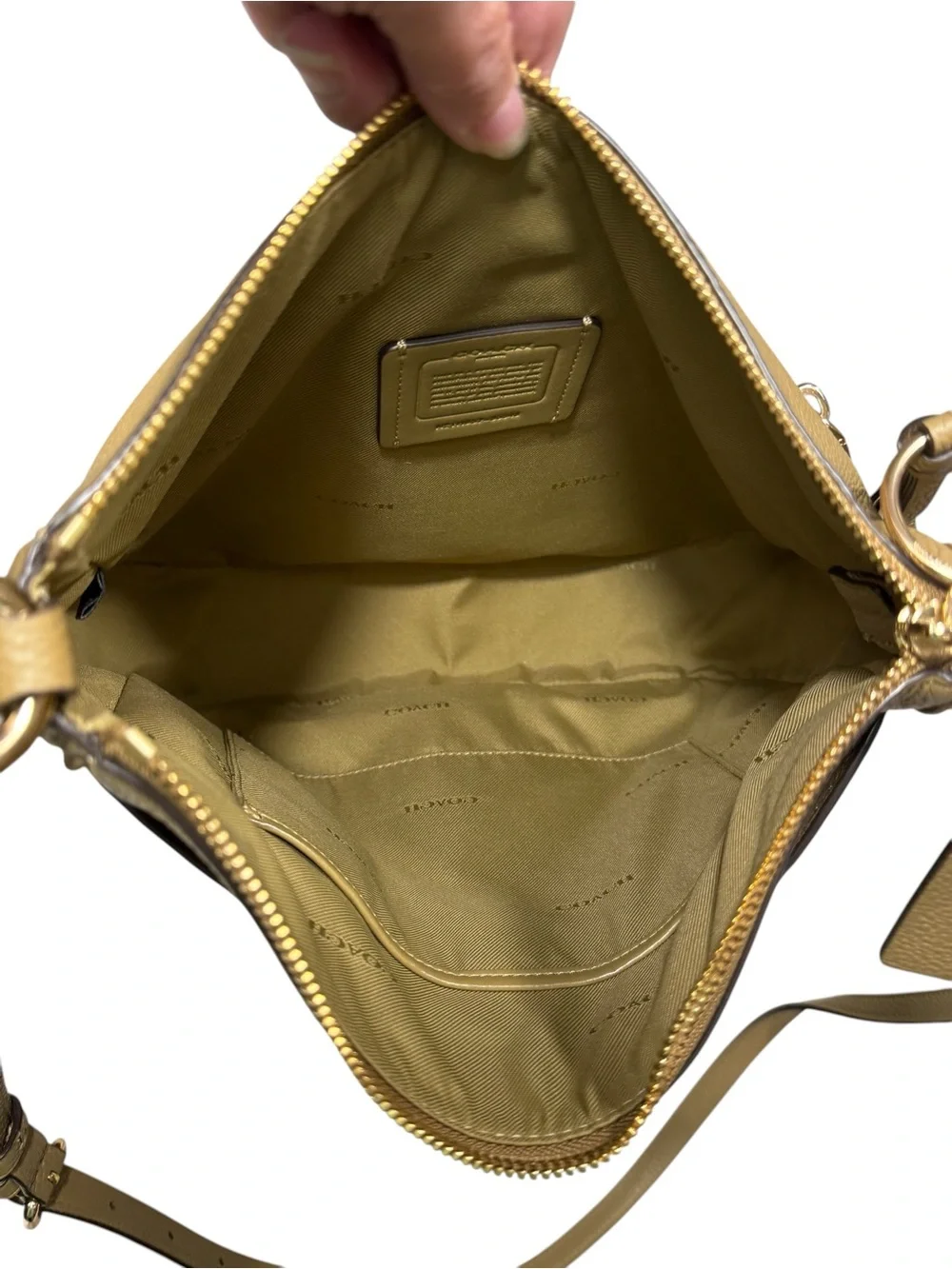 Coach Chaise Crossbody 2019 NWOT